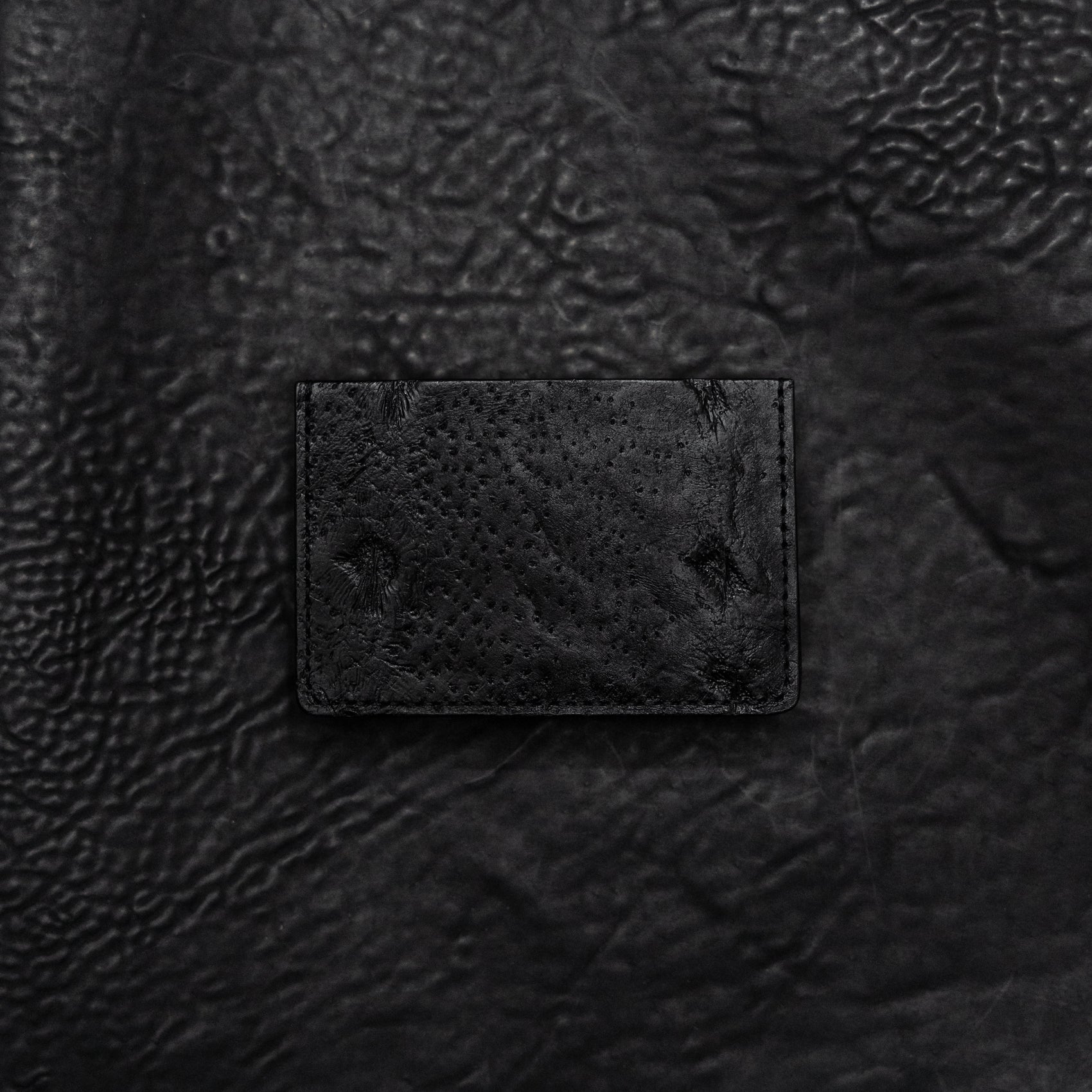 Luz Card Case (Sturgeon Mosaic Series)