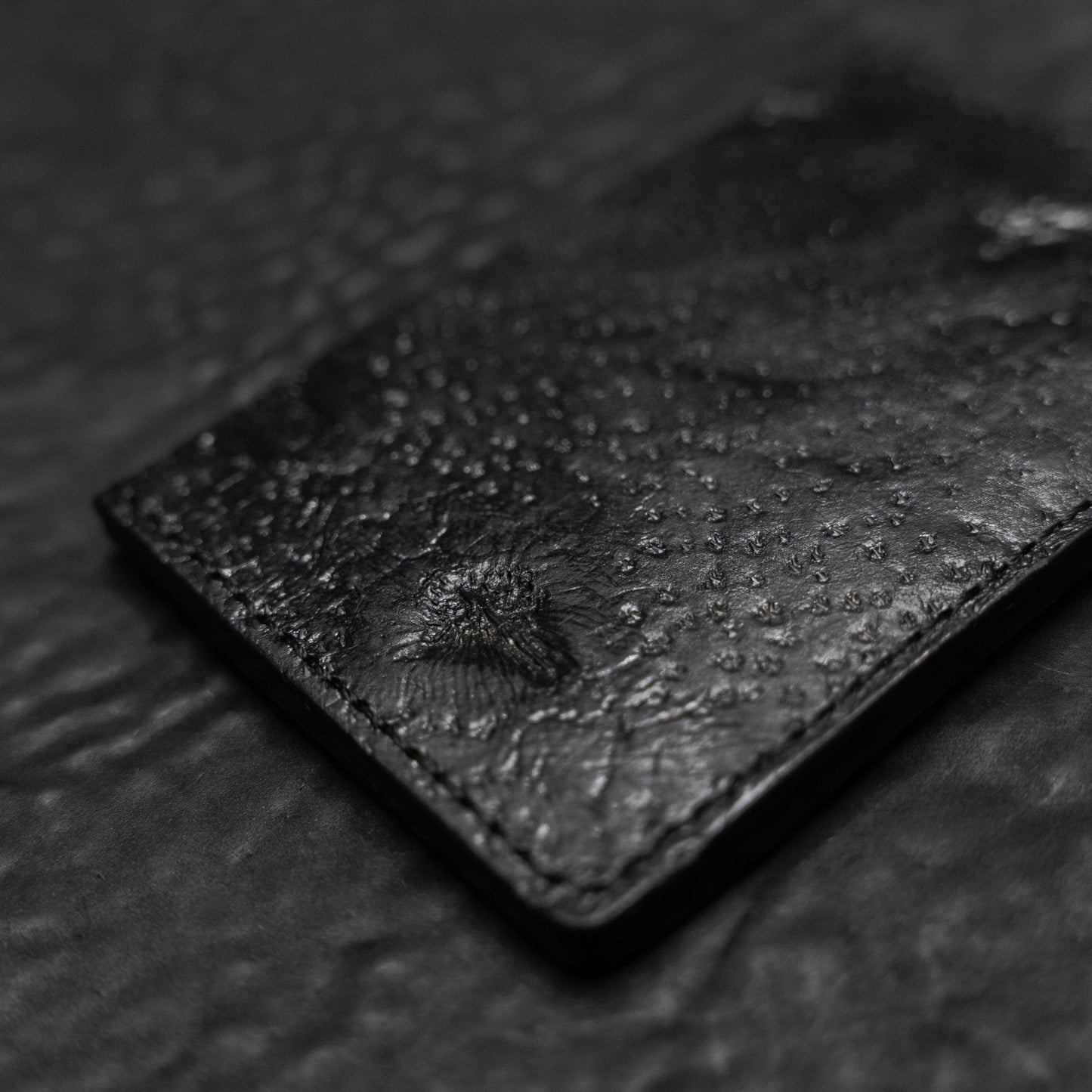 Luz Card Case (Sturgeon Mosaic Series)